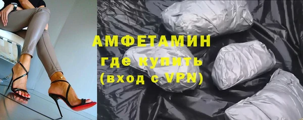 крисы Дедовск