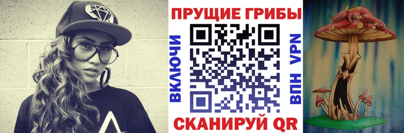 Галлюциногенные грибы Psilocybine cubensis  Изобильный 