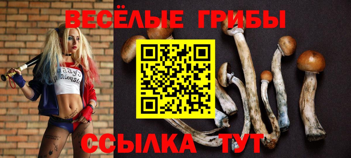 Галлюциногенные грибы Cubensis Изобильный